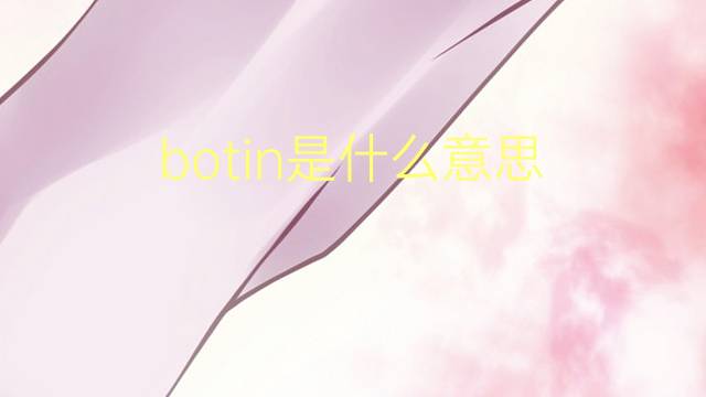 botin是什么意思 botin的翻译、读音、例句、中文解释