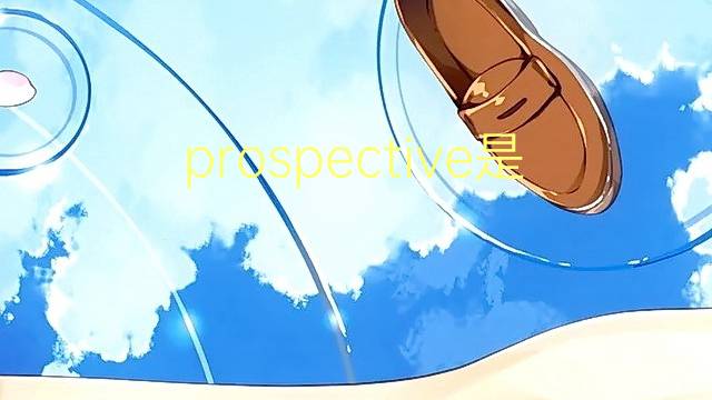 prospective是什么意思 prospective的翻译、读音、例句、中文解释