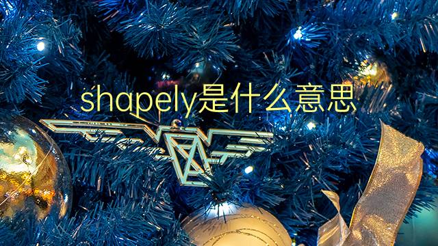 shapely是什么意思 shapely的翻译、读音、例句、中文解释