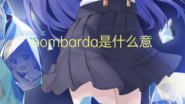 bombarda是什么意思 bombarda的翻译、读音、例句、中文解释