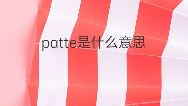 patte是什么意思 patte的翻译、读音、例句、中文解释