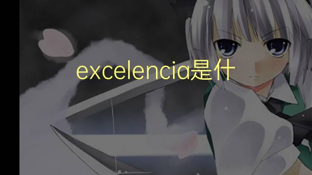 excelencia是什么意思 excelencia的翻译、读音、例句、中文解释