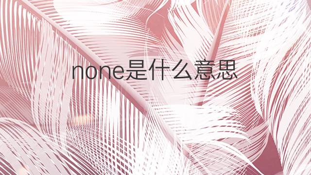 none是什么意思 none的翻译、读音、例句、中文解释