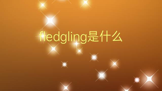 fledgling是什么意思 fledgling的翻译、读音、例句、中文解释