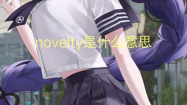 novelty是什么意思 novelty的翻译、读音、例句、中文解释