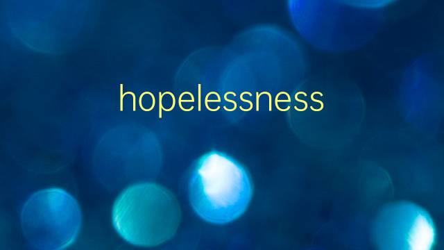 hopelessness是什么意思 hopelessness的翻译、读音、例句、中文解释