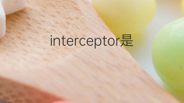 interceptor是什么意思 interceptor的翻译、读音、例句、中文解释