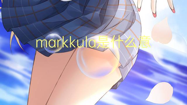 markkula是什么意思 markkula的翻译、读音、例句、中文解释