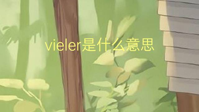 vieler是什么意思 vieler的翻译、读音、例句、中文解释