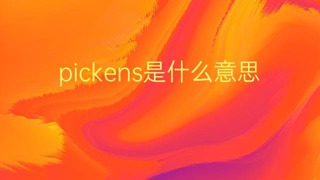 pickens是什么意思 pickens的翻译、读音、例句、中文解释