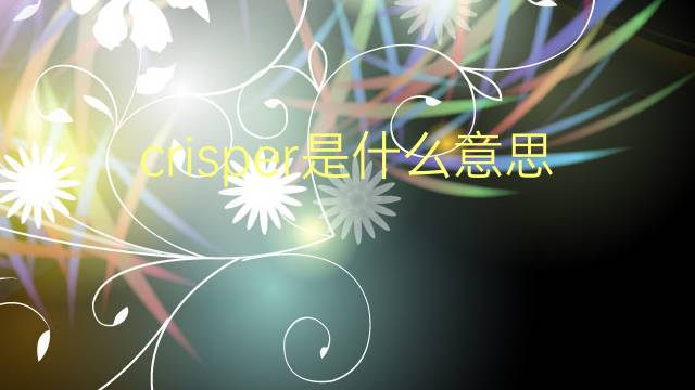 crisper是什么意思 crisper的翻译、读音、例句、中文解释