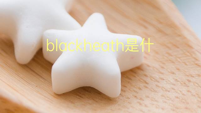 blackheath是什么意思 blackheath的翻译、读音、例句、中文解释