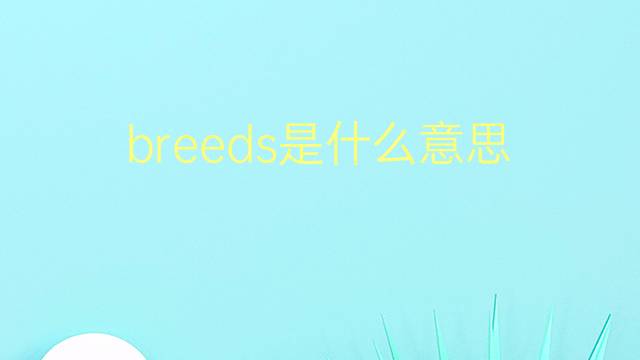 breeds是什么意思 breeds的翻译、读音、例句、中文解释