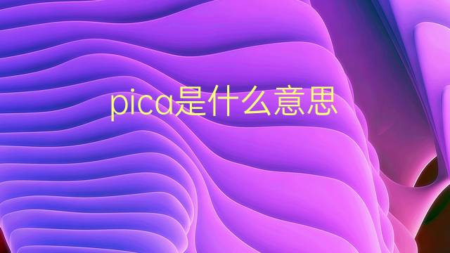 pica是什么意思 pica的翻译、读音、例句、中文解释