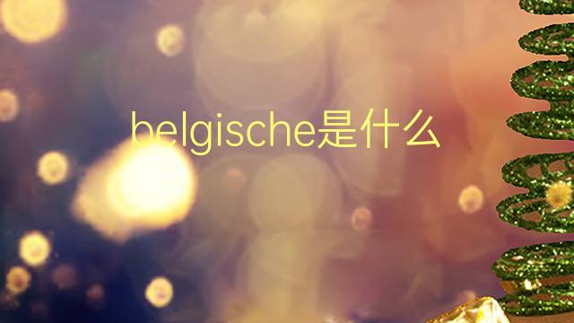 belgische是什么意思 belgische的翻译、读音、例句、中文解释