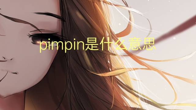 pimpin是什么意思 pimpin的翻译、读音、例句、中文解释