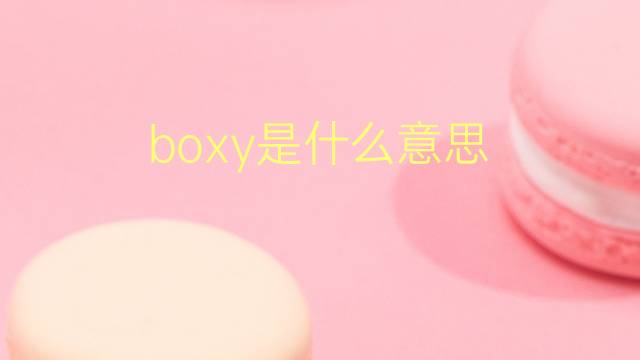 boxy是什么意思 boxy的翻译、读音、例句、中文解释