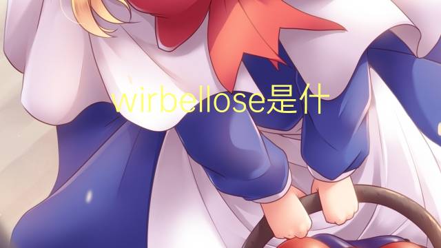 wirbellose是什么意思 wirbellose的翻译、读音、例句、中文解释