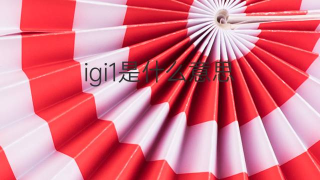 igi1是什么意思 igi1的翻译、读音、例句、中文解释