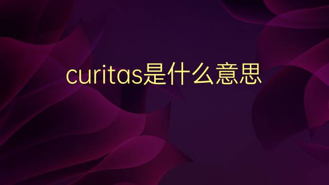 curitas是什么意思 curitas的翻译、读音、例句、中文解释