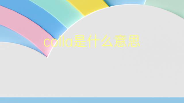 colla是什么意思 colla的翻译、读音、例句、中文解释