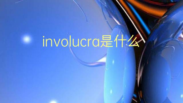 involucra是什么意思 involucra的翻译、读音、例句、中文解释