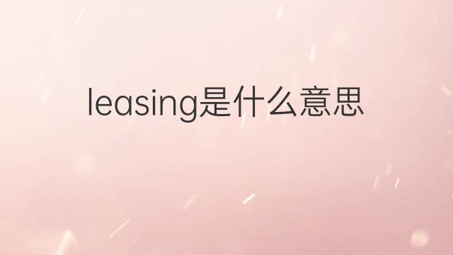 leasing是什么意思 leasing的翻译、读音、例句、中文解释