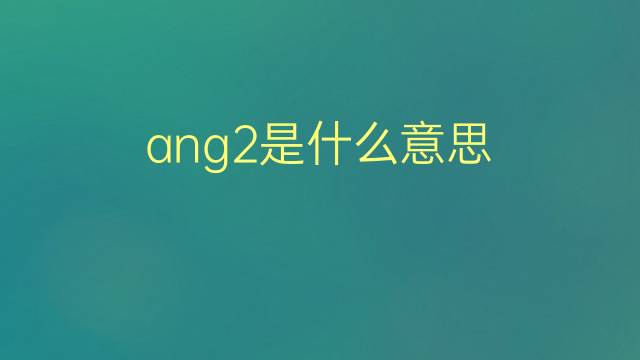 ang2是什么意思 ang2的翻译、读音、例句、中文解释