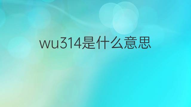 wu314是什么意思 wu314的翻译、读音、例句、中文解释