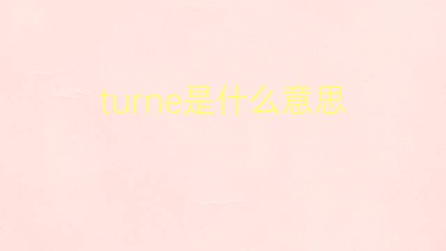 turne是什么意思 turne的翻译、读音、例句、中文解释