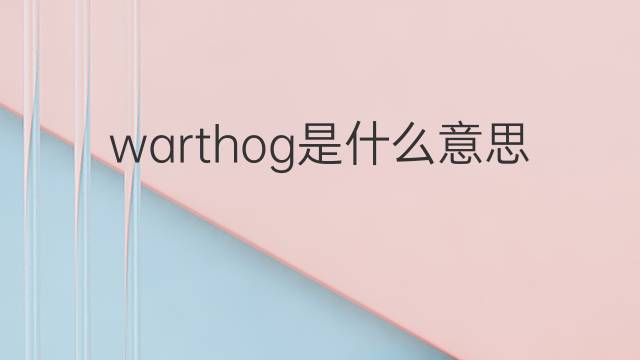 warthog是什么意思 warthog的翻译、读音、例句、中文解释