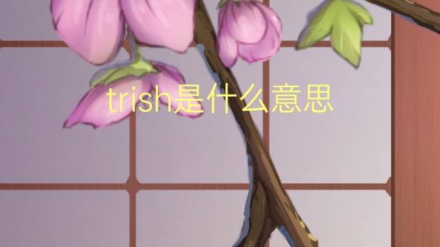 trish是什么意思 trish的翻译、读音、例句、中文解释