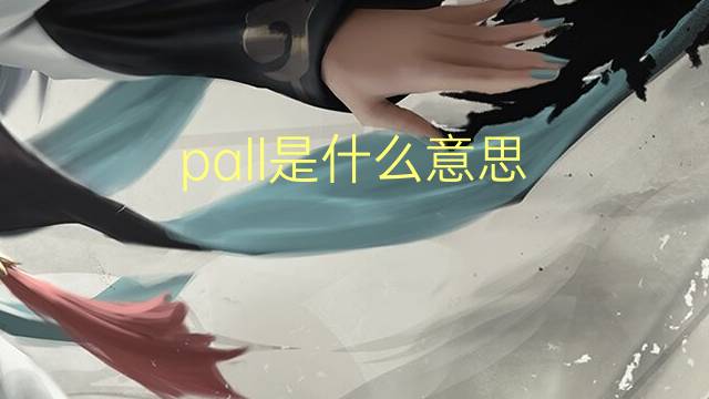 pall是什么意思 pall的翻译、读音、例句、中文解释