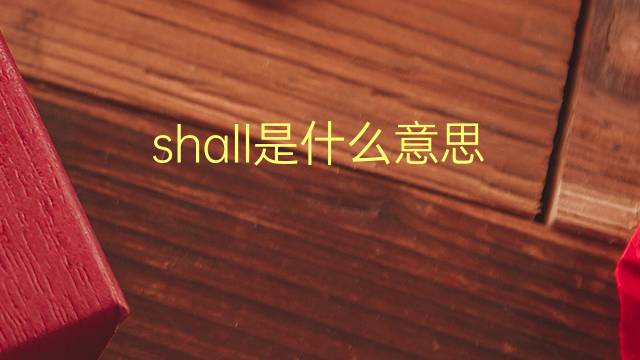 shall是什么意思 shall的翻译、读音、例句、中文解释