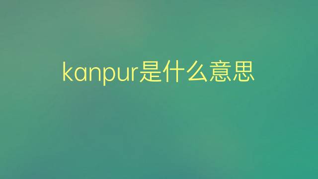 kanpur是什么意思 kanpur的翻译、读音、例句、中文解释