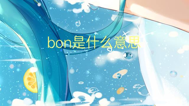 bon是什么意思 bon的翻译、读音、例句、中文解释