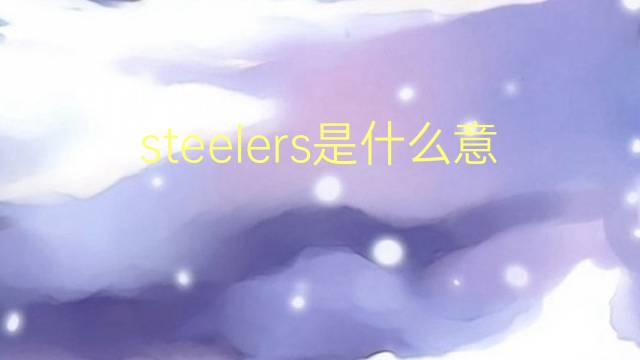 steelers是什么意思 steelers的翻译、读音、例句、中文解释