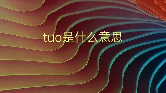 tua是什么意思 tua的翻译、读音、例句、中文解释