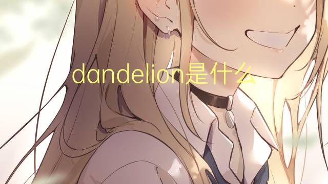 dandelion是什么意思 dandelion的翻译、读音、例句、中文解释