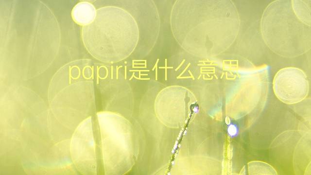 papiri是什么意思 papiri的翻译、读音、例句、中文解释