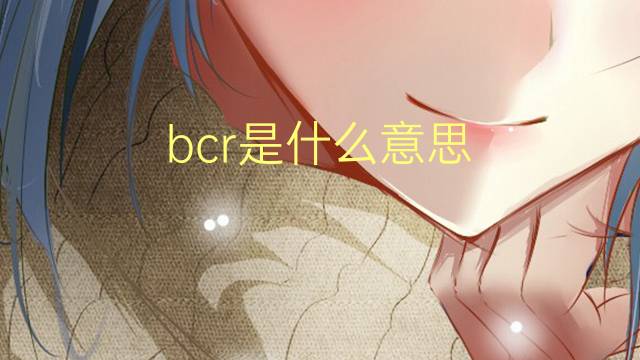 bcr是什么意思 bcr的翻译、读音、例句、中文解释