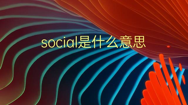 social是什么意思 social的翻译、读音、例句、中文解释