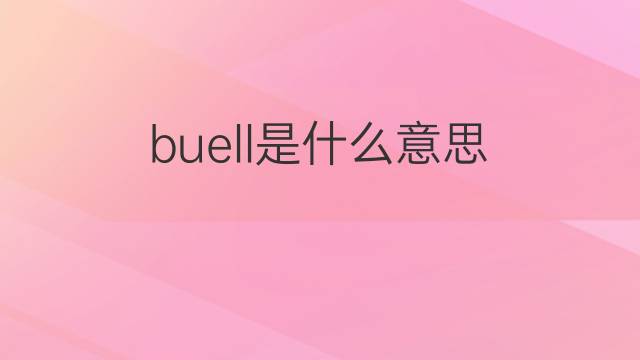 buell是什么意思 buell的翻译、读音、例句、中文解释