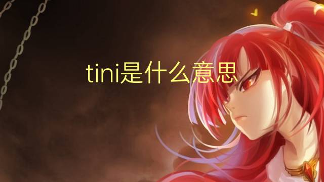 tini是什么意思 tini的翻译、读音、例句、中文解释