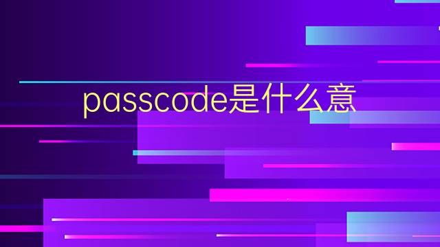 passcode是什么意思 passcode的翻译、读音、例句、中文解释