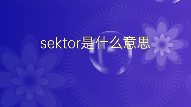 sektor是什么意思 sektor的翻译、读音、例句、中文解释