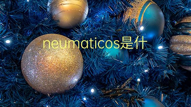 neumaticos是什么意思 neumaticos的翻译、读音、例句、中文解释