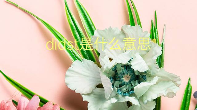 didst是什么意思 didst的翻译、读音、例句、中文解释