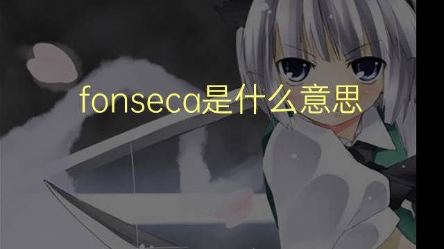 fonseca是什么意思 fonseca的翻译、读音、例句、中文解释