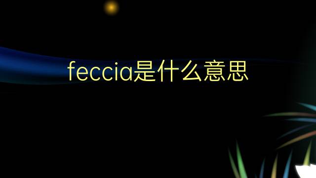 feccia是什么意思 feccia的翻译、读音、例句、中文解释